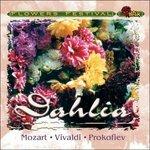 The Healing Power of Dahlia - CD Audio