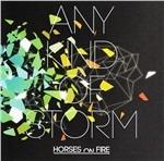Any Kind of Storm