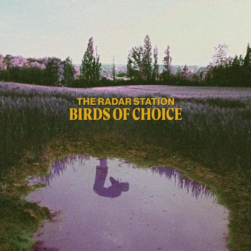Birds Of Choice - Vinile LP di Radar Station