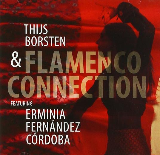 Flamenco Connection - CD Audio