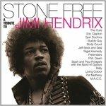 A Tribute to Jimi Hendrix - Vinile LP