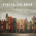 Sonnets From The Drowsiness