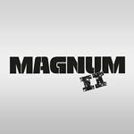 Magnum II (180 gr.)