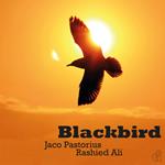 Blackbird (Ltd. Translucent Yellow Vinyl)