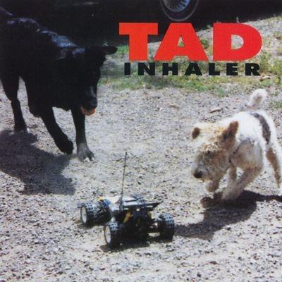 Inhaler - Vinile LP di Tad