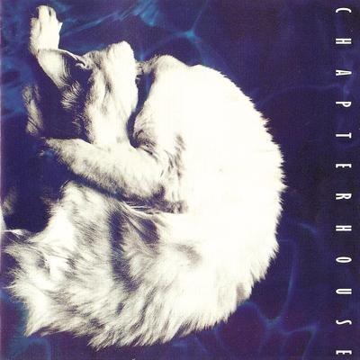 Whirlpool - Vinile LP di Chapterhouse