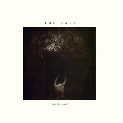 Into The Woods - Vinile LP di Call