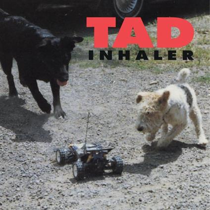 Inhaler - Vinile LP di Tad