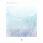 Wanderer - CD Audio di Tobias Borsboom