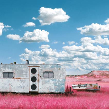 Barton Think - My Last Album - Vinile LP