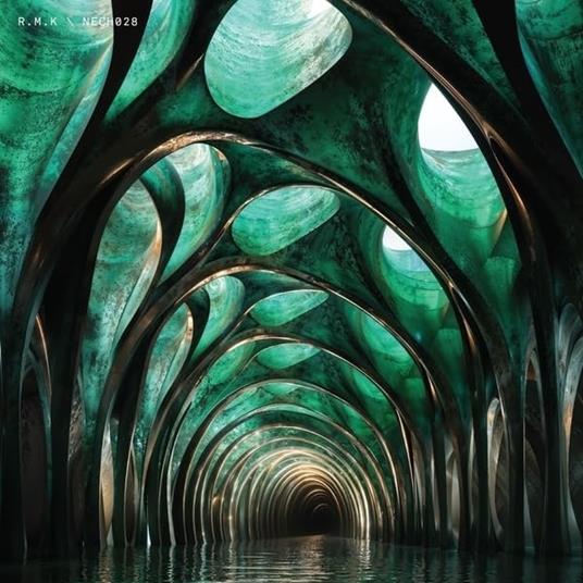 Nech028 - Vinile LP di RMK