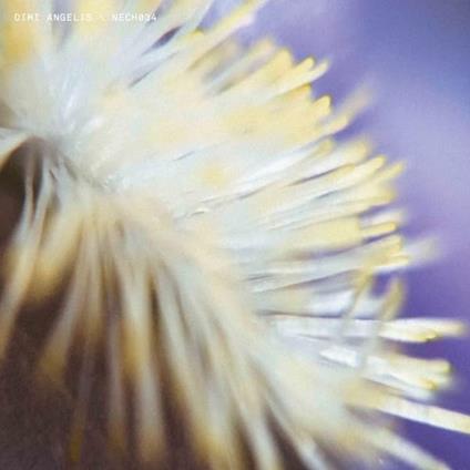 Nech034 - Vinile LP di Dimi Angelis