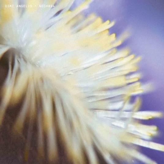 Nech034 - Vinile LP di Dimi Angelis