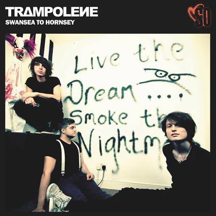 Swansea To Hornsey (Anniversary Edition) - Vinile LP di Trampolene