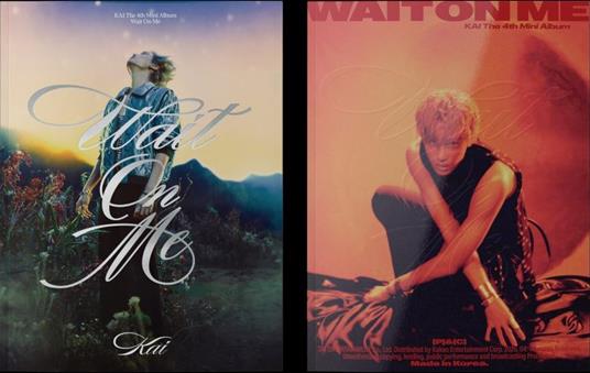 Wait On Me - CD Audio di Kai