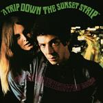 A Trip Down Sunset Strip