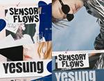 Sensory Flows