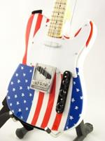 Bruce Springsteen. 246 Chitarra Fender Telecaster Usa