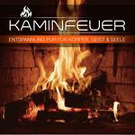 Kaminfeuer