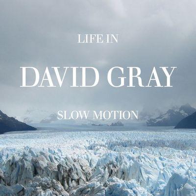 Life In Slow Motion - CD Audio di David Gray
