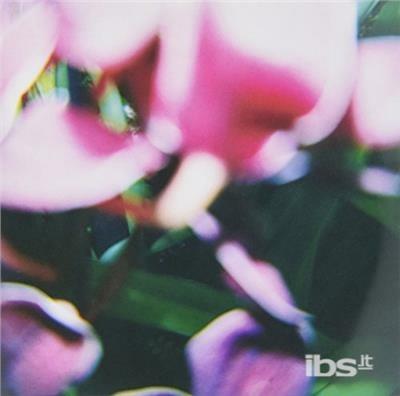 You Make Everything Disappear - CD Audio di Trade Wind