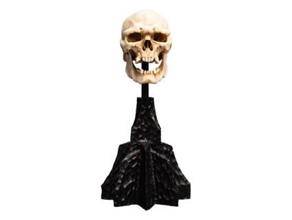 Il Signore Degli Anelli Mini Statua Skull Of A Mordor Orc 14 Cm Weta Workshop