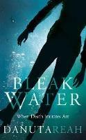 Bleak Water - Danuta Reah - cover
