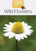 Wild Flowers - cover