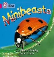 Minibeasts: Band 01a/Pink a - Siobhan Hardy - cover