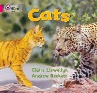 Cats: Band 01b/Pink B - Claire Llewellyn - cover