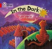 In the Dark: Band 02a/Red a - Claire Llewellyn - cover
