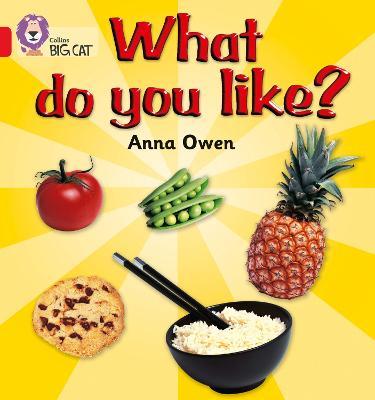 What Do You Like?: Band 02b/Red B - Anna Owen - cover