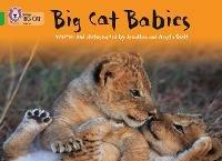 Big Cat Babies: Band 05/Green - Jonathan Scott,Angela Scott - cover