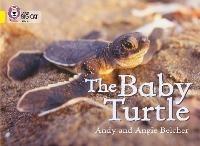 The Baby Turtle: Band 03/Yellow - Andy Belcher,Angie Belcher - cover