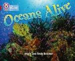 Oceans Alive: Band 14/Ruby