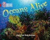 Oceans Alive: Band 14/Ruby - Angie Belcher - cover