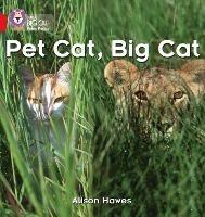 Pet Cat, Big Cat: Band 02a/Red a - Alison Hawes - cover