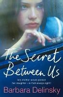 The Secret Between Us - Barbara Delinsky - cover