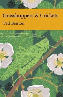 Grasshoppers and Crickets - Ted Benton - cover