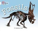 Fossils: Band 10/White