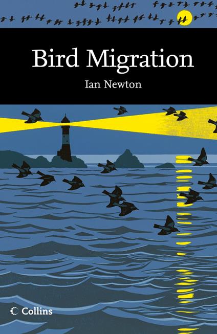 Bird Migration