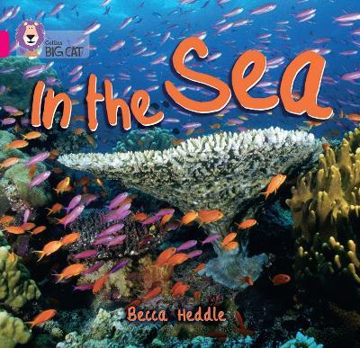 In the Sea: Band 01b/Pink B - Becca Heddle - cover