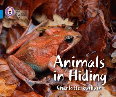 Animals in Hiding: Band 04/Blue - Charlotte Guillain - cover