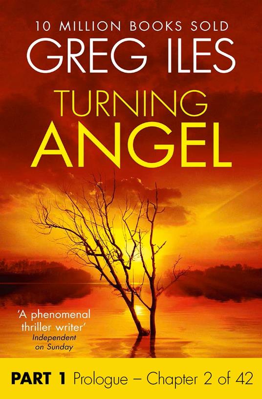 Turning Angel: Part 1, Prologue to Chapter 2 inclusive