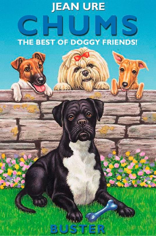 Buster (Chums) - Jean Ure - ebook