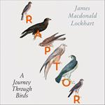 Raptor: A Journey Through Birds