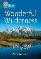 Wonderful Wilderness: Band 15/Emerald