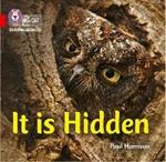 It is Hidden: Band 02b/Red B