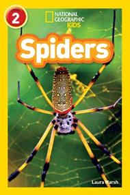 Spiders: Level 2