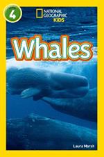 Whales: Level 4